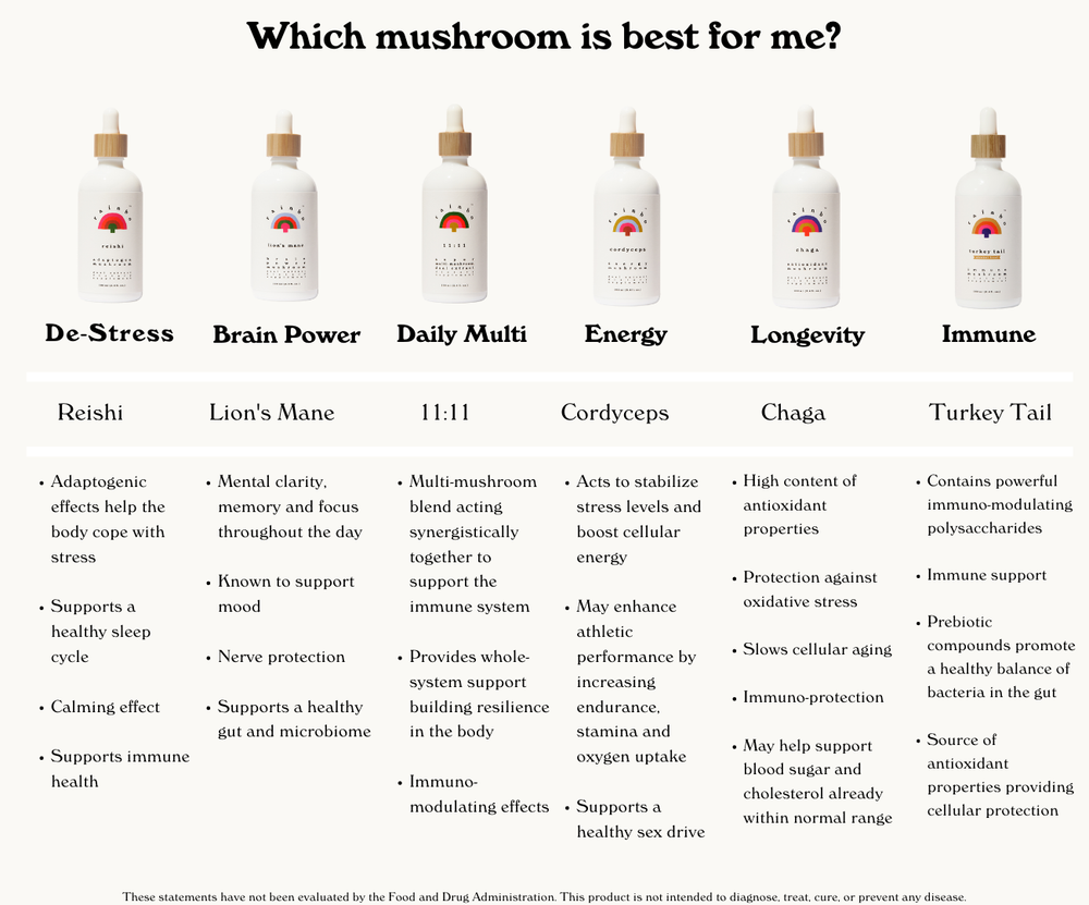 11:11 - Super Multi-Mushroom Tincture