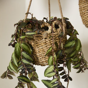 Verse Hanging Basket
