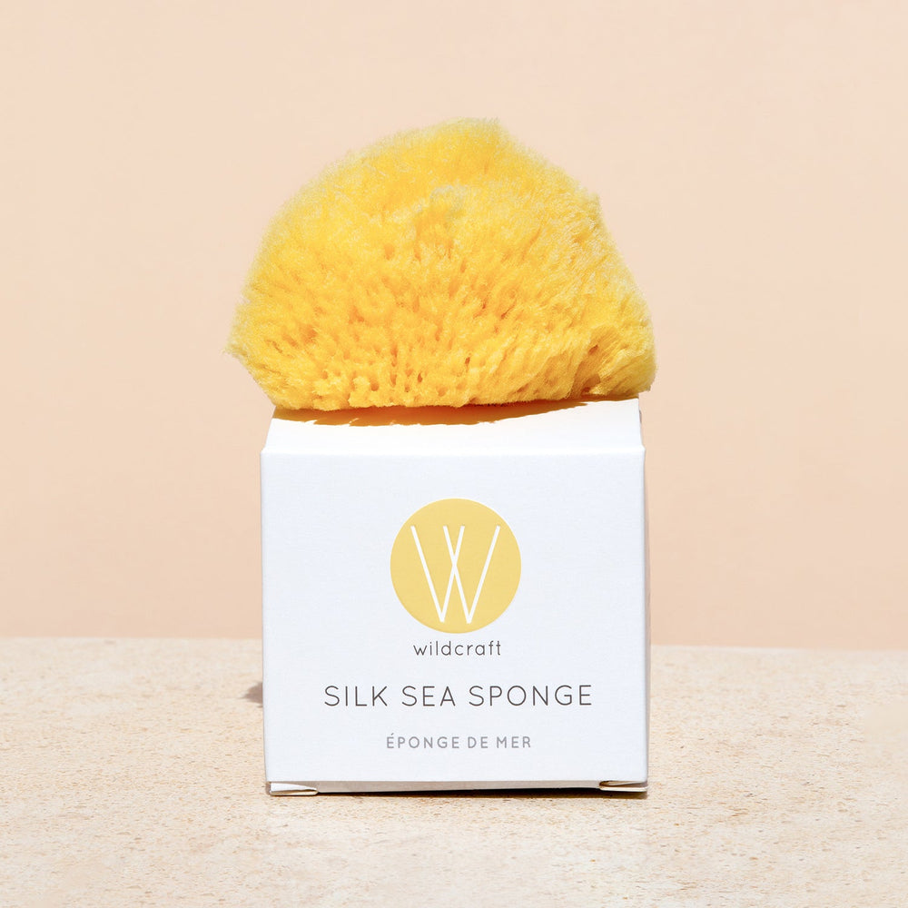 Silk Sea Sponge