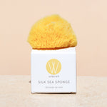 Silk Sea Sponge