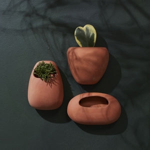 Solento Wall Planter